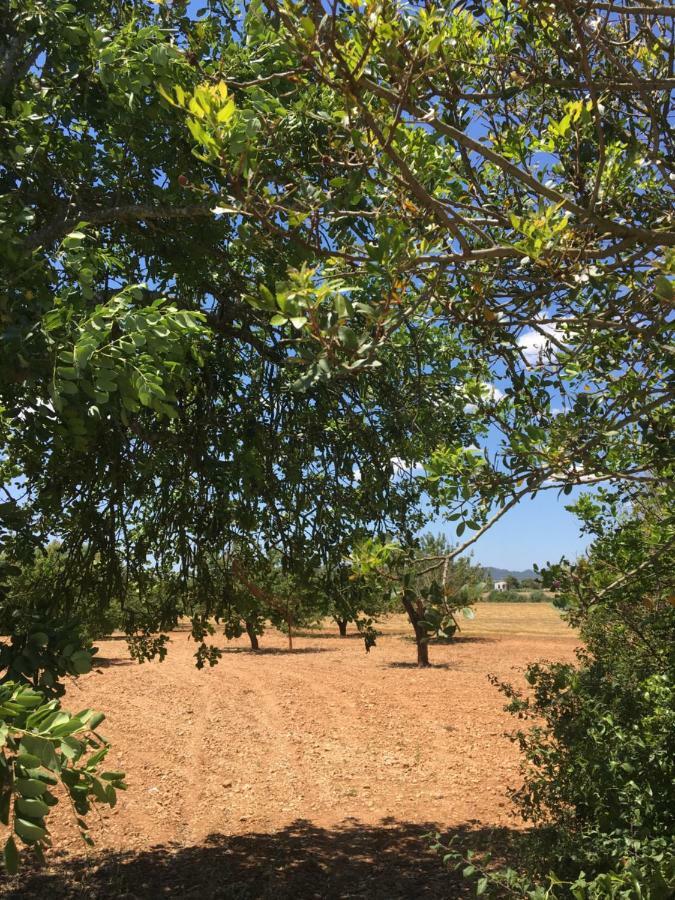 Finca Es Vinyet Villa Porreres Exteriör bild